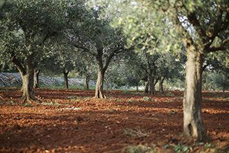 Surroundings 03