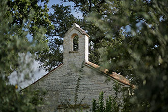 Surroundings 04