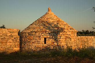 Surroundings 05