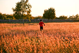 Surroundings 07