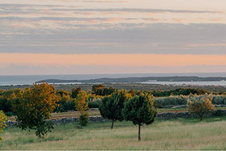 Surroundings 08