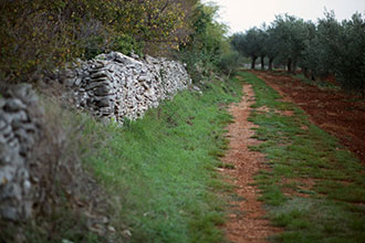 Surroundings 12